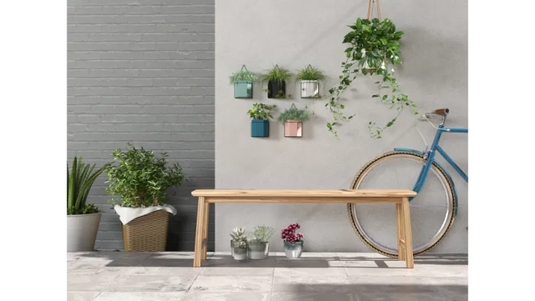 Climbing Plants and Garden Styles The Perfect Combination for Meditation