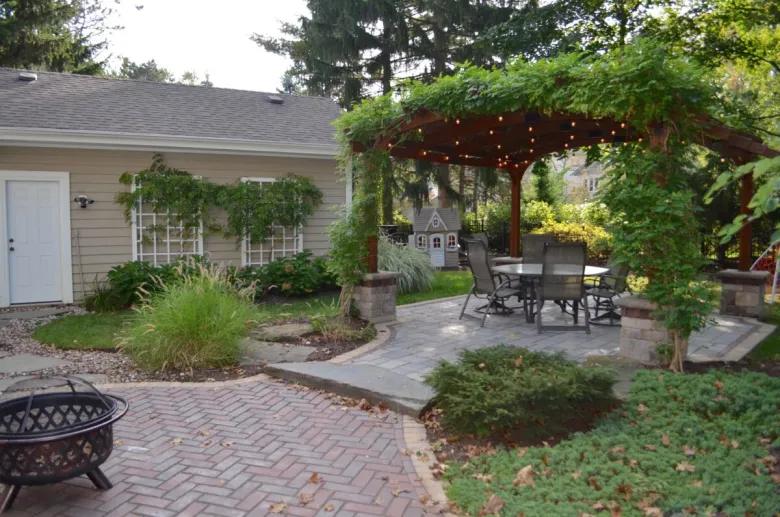 Creating a Lush Backyard with Shade Loving Plants and Pathways