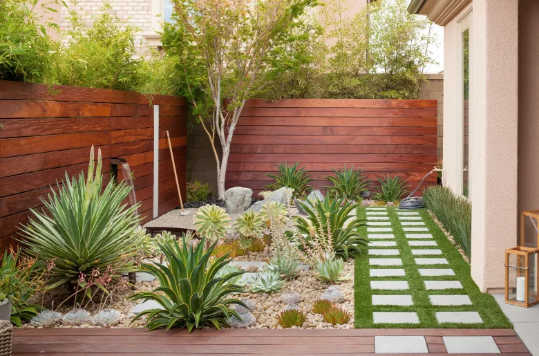 The Beauty of Deciduous Plants in Softscaping for Seasonal Interest