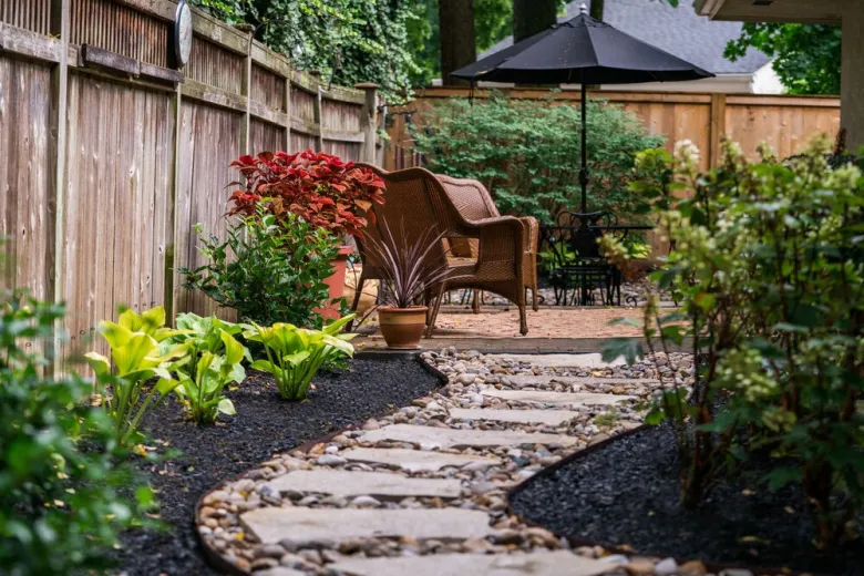 Creating a Beautiful Backyard with Water Plants and Various Garden Styles