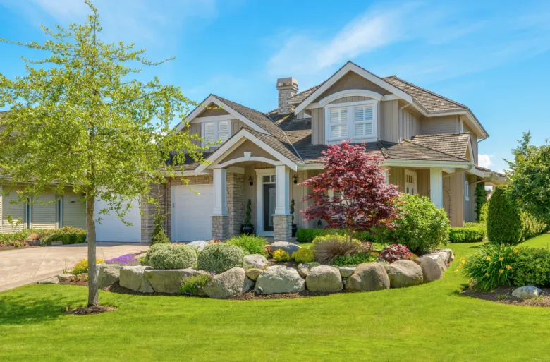 The Importance of Deciduous Plants in Creating Proportion and Home Natural Beauty